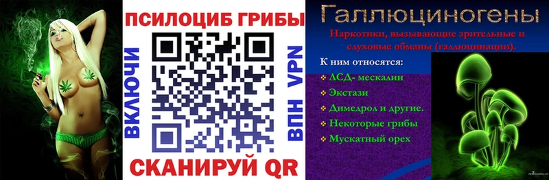 Псилоцибиновые грибы Cubensis  kraken ссылки  Лангепас  цены  
